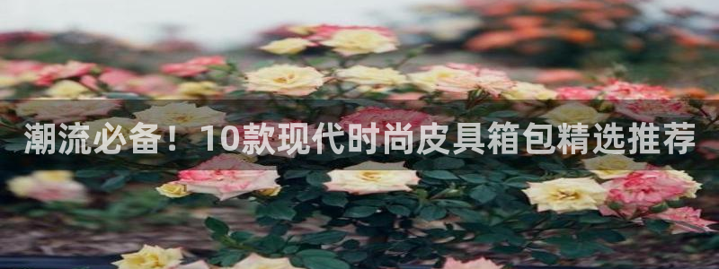 意昂平台体育