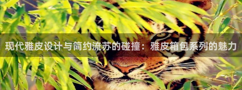 意昂体育3平台是正规平台吗安全吗