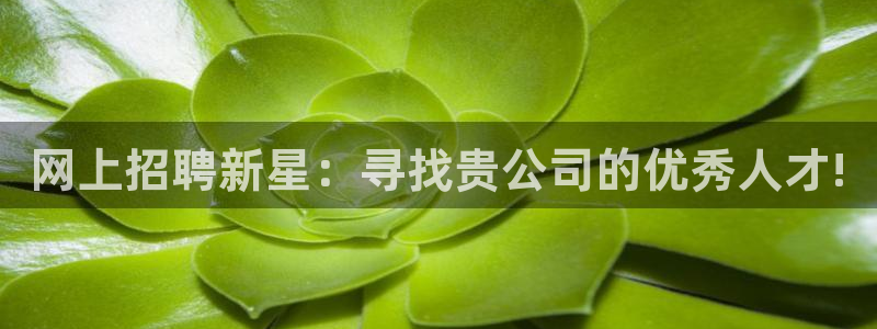 意昂3集团