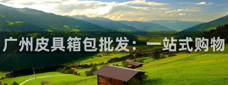 德国意昂3集团