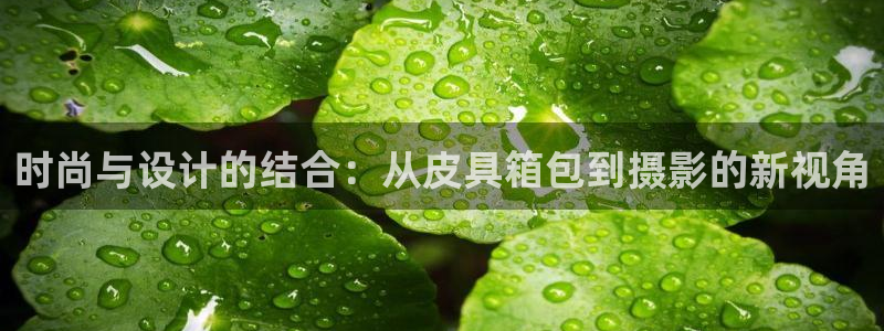 意昂体育3联系电话