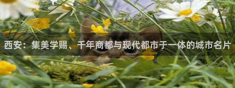 意昂体育3招商电话是多少啊
