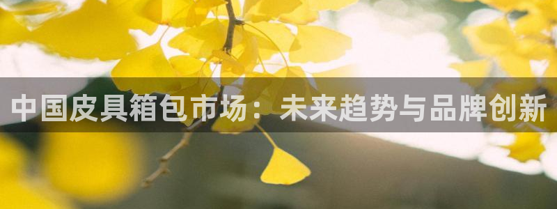 意昂体育3招商电话号码是多少啊