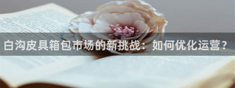 意昂体育3平台注册流程图