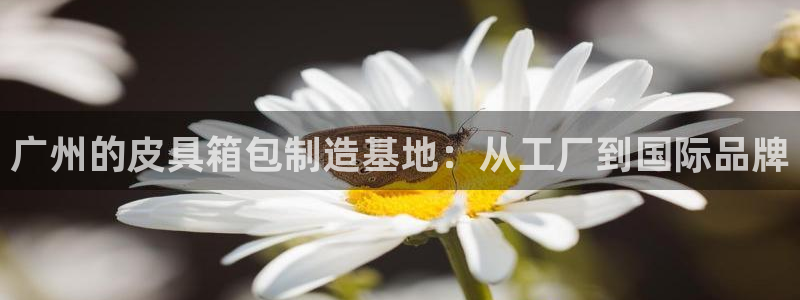 意昂体育3平台假的吗是真的吗