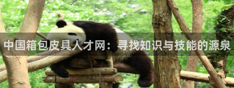 意昂体育3招商电话号码是多少啊