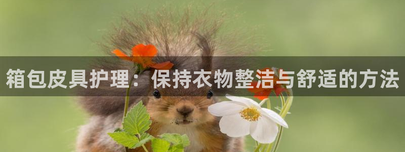 意昂体育3招商电话地址查询