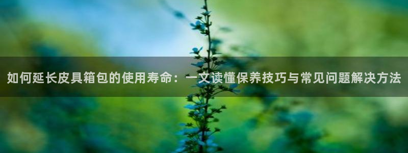 意昂3娱乐