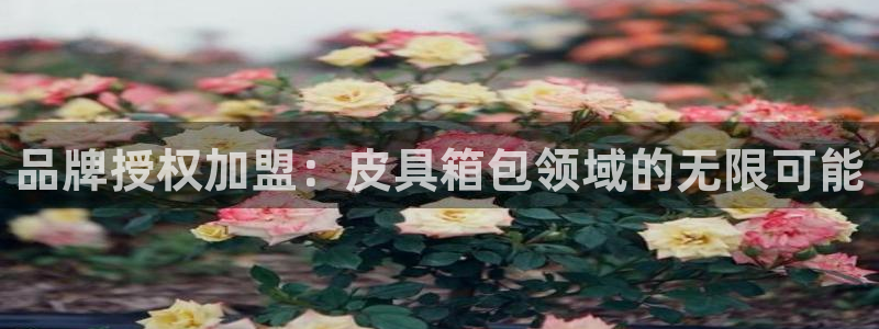 意昂体育3平台注册流程图