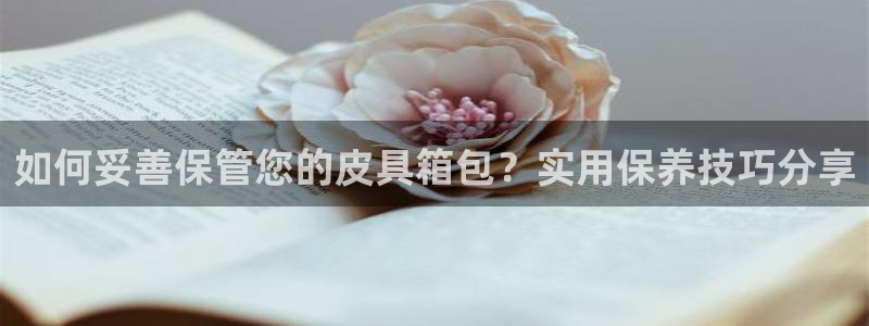 意昂3娱乐首页官网下载