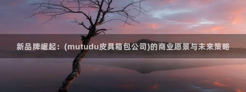 意昂3神州