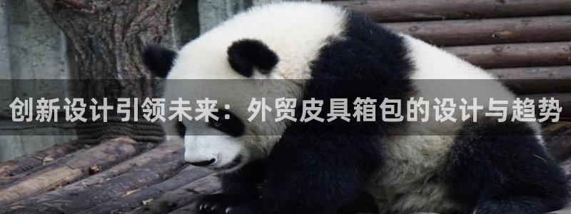 海南意昂体育3