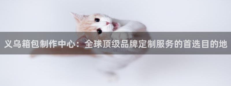 意昂平台体育