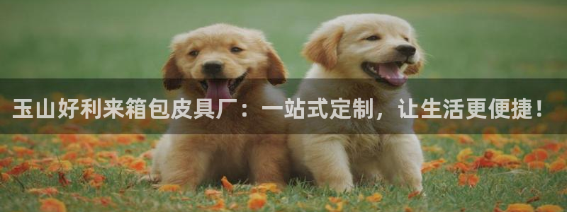 意昂体育3联系电话