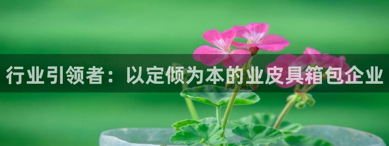 海南意昂体育3