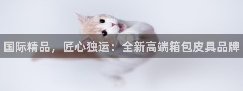 海南意昂体育3