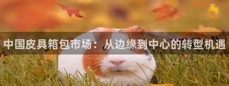 意昂体育3平台注册