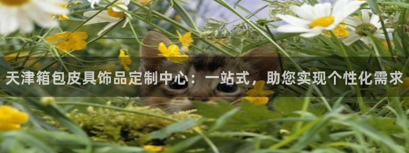 意昂3集团logo